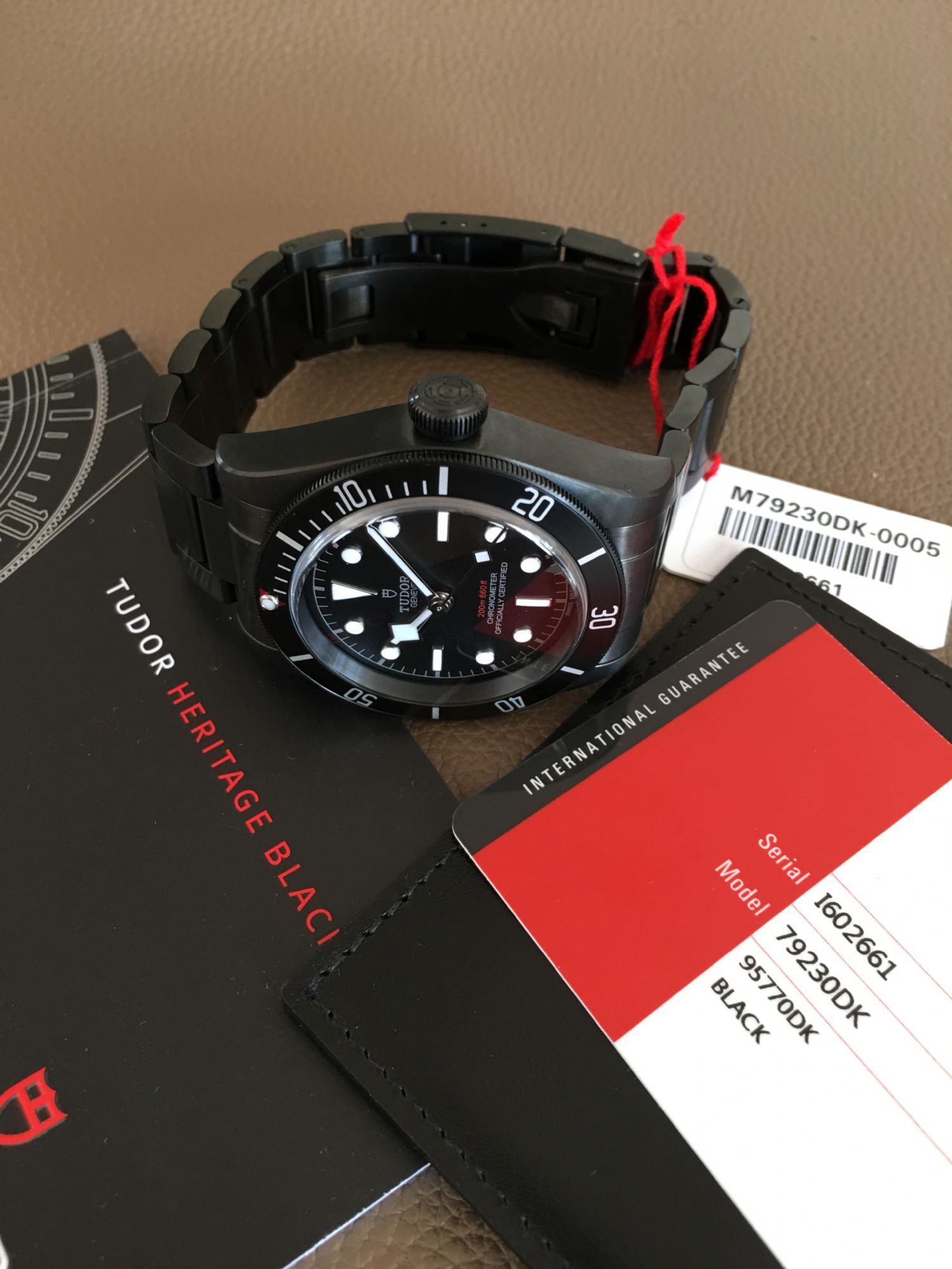 Tudor pvd 2024